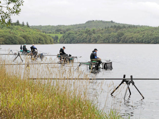 2017 World Pairs, Ireland 2017 World Pairs, Ireland