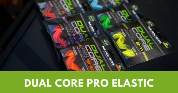 dual core elastic