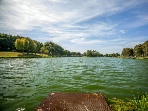 Maver Hayfield Lakes – the best stillwater in the country Maver Hayfield Lakes - the best stillwater in the country