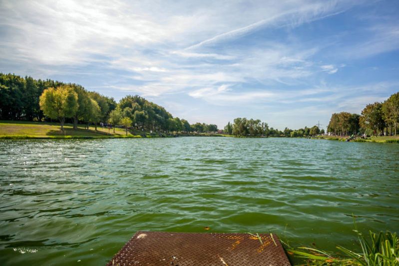 Maver Hayfield Lakes – the best stillwater in the country Maver Hayfield Lakes - the best stillwater in the country