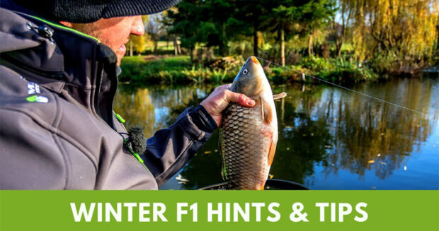winter f1 hints and tips
