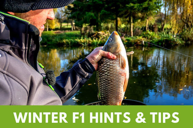 winter f1 hints and tips