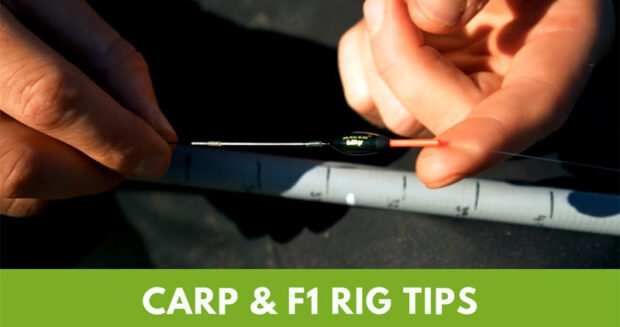 carp and f1 rig tips