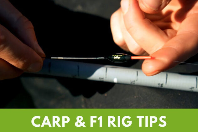 carp and f1 rig tips