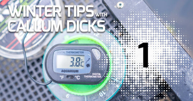 winter tips with callum 1