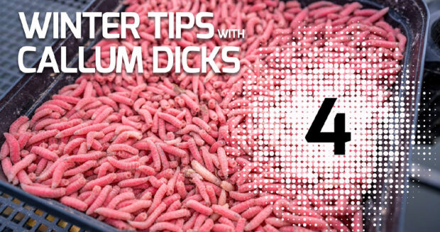 winter tips with callum 4