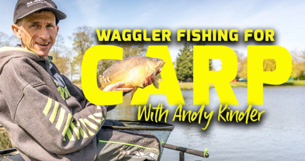 waggler fishing for carp