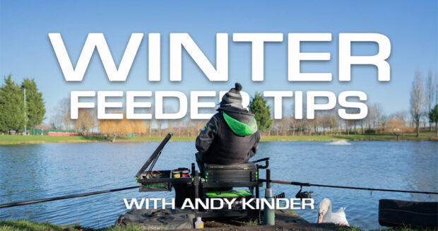 Winter Feeder Tips