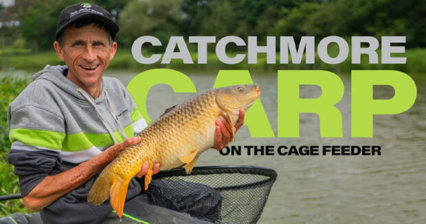 catch more carp on the cage feeder
