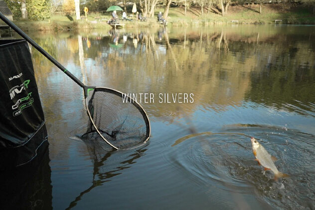 winter silvers
