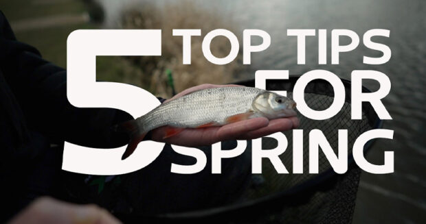 5 top tips for spring