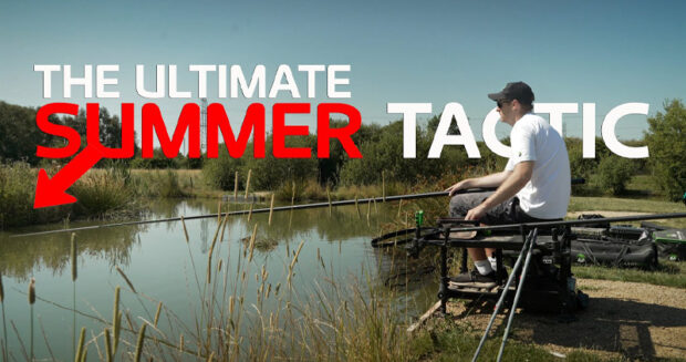 the ultimate summer tactic