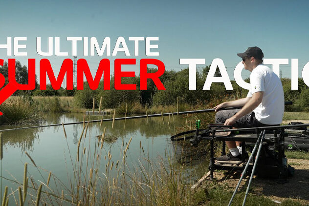 the ultimate summer tactic